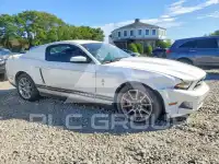 2010 Ford MUSTANG photo