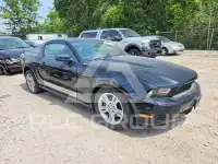 2010 Ford MUSTANG фото