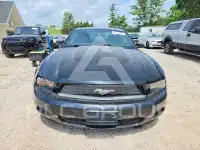 2010 Ford MUSTANG фото