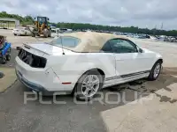 2010 Ford MUSTANG photo