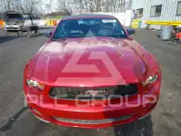 2010 Ford MUSTANG фото
