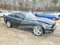 2010 Ford MUSTANG photo