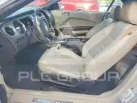 2010 Ford MUSTANG фото