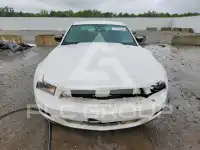 2010 Ford MUSTANG фото