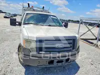 2010 Ford F-150 photo