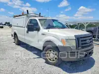 2010 Ford F-150 photo