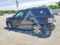 2010 Ford ESCAPE фото