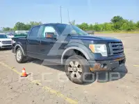 2010 Ford F-150 фото