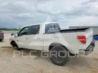 2010 Ford F-150 photo