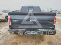 2010 Ford F-150 photo