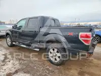 2010 Ford F-150 photo
