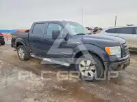 2010 Ford F-150 photo