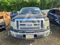 2010 Ford F-150 photo