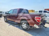2010 Ford F-150 photo