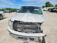 2010 Ford F-150 photo