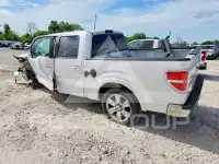 2010 Ford F-150 photo