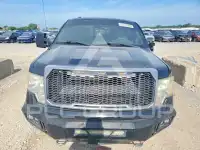 2010 Ford F-150 photo