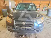 2010 Hyundai Santa Fe photo