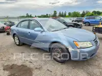 2010 Hyundai Sonata фото