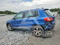 2010 Volkswagen Tiguan фото