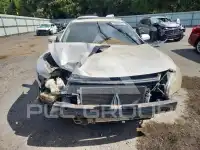 2011 Nissan MAXIMA photo