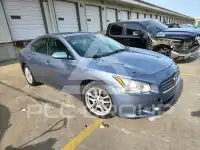 2011 Nissan MAXIMA фото