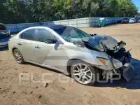 2011 Nissan MAXIMA фото