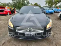 2011 Nissan MAXIMA фото