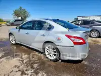 2011 Nissan MAXIMA фото