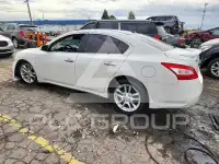 2011 Nissan MAXIMA фото