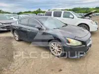 2011 Nissan MAXIMA фото