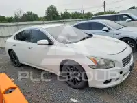 2011 Nissan MAXIMA photo