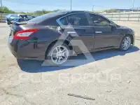 2011 Nissan MAXIMA фото