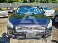 2011 Nissan MAXIMA photo