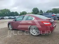 2011 Nissan MAXIMA photo