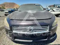 2011 Nissan MAXIMA photo