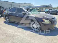 2011 Nissan MAXIMA фото