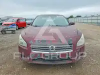2011 Nissan MAXIMA photo