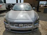 2011 Nissan MAXIMA photo