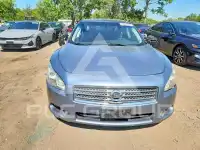 2011 Nissan MAXIMA photo