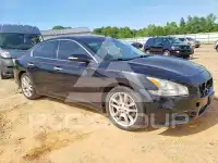 2011 Nissan MAXIMA фото