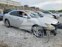 2011 Nissan MAXIMA photo