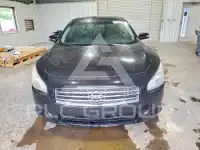 2011 Nissan MAXIMA photo