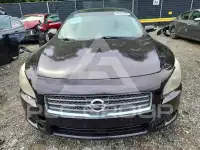 2011 Nissan MAXIMA photo