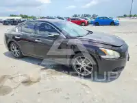 2011 Nissan MAXIMA photo