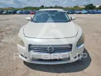 2011 Nissan MAXIMA photo