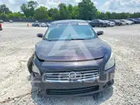 2011 Nissan MAXIMA фото