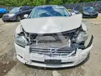 2011 Nissan MAXIMA photo