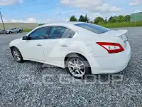 2011 Nissan MAXIMA photo