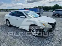 2011 Nissan MAXIMA photo